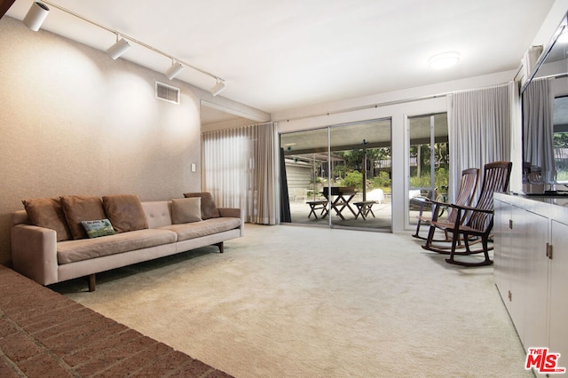 carpeted living room featuring track lighting