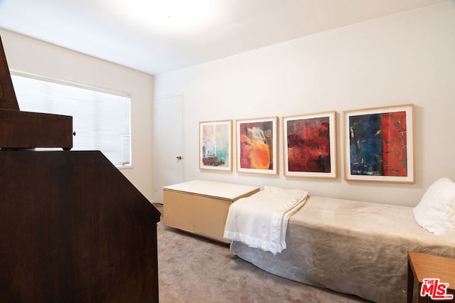 bedroom with light colored carpet