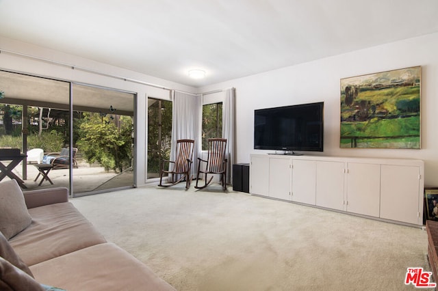 view of carpeted living room