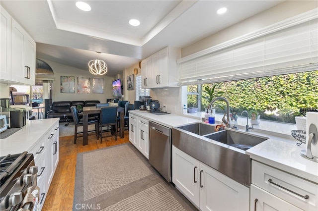 kitchen featuring sink, dark hardwood / wood-style floors, appliances with stainless steel finishes, a tray ceiling, and white cabinetry