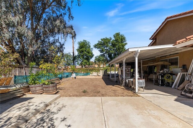 view of yard featuring a patio area