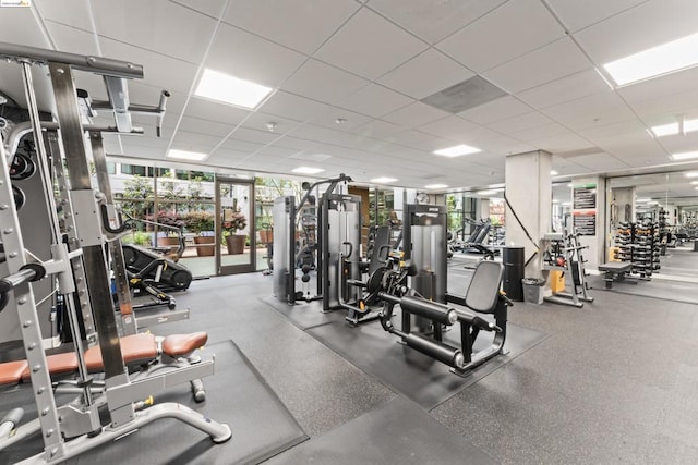 workout area with a paneled ceiling and expansive windows