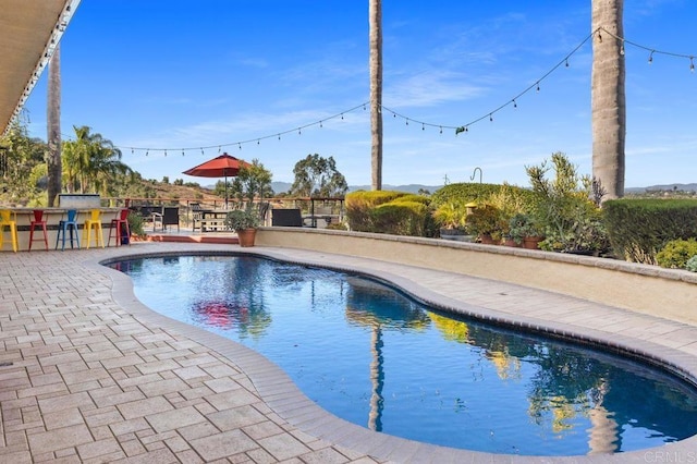 view of pool with a patio area and an outdoor bar