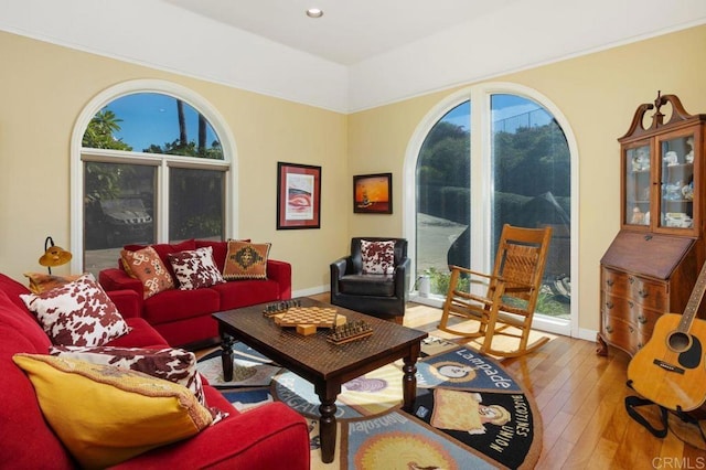 living room featuring wood-type flooring