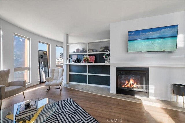 living room featuring hardwood / wood-style floors