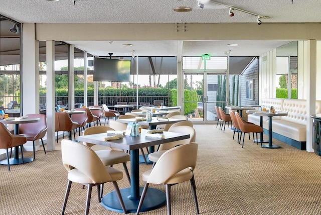 dining area with a wealth of natural light, light colored carpet, and a textured ceiling