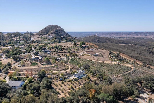 birds eye view of property featuring a mountain view