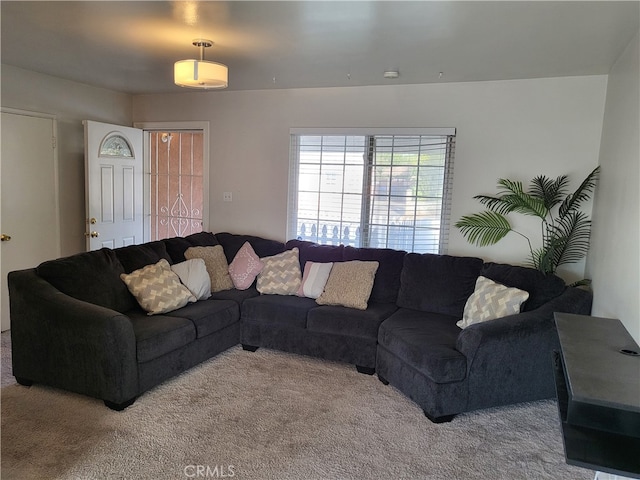 living room featuring carpet