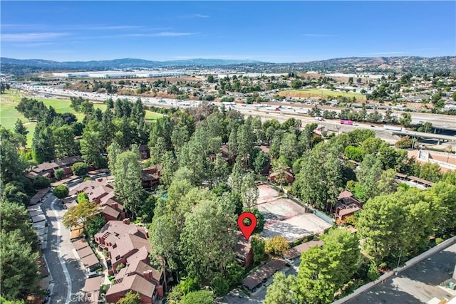 birds eye view of property featuring a mountain view