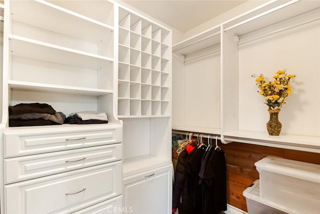 view of spacious closet