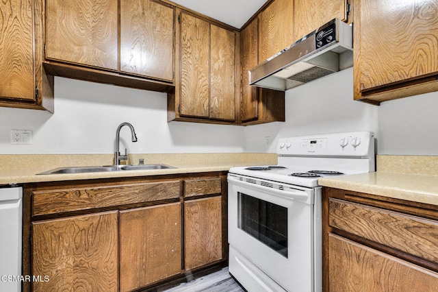 kitchen featuring light hardwood / wood-style flooring, sink, exhaust hood, and white appliances