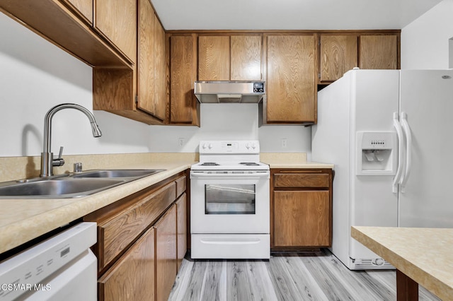 kitchen featuring sink, light wood-type flooring, and white appliances