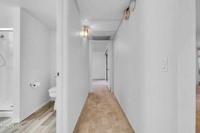 hallway with light colored carpet