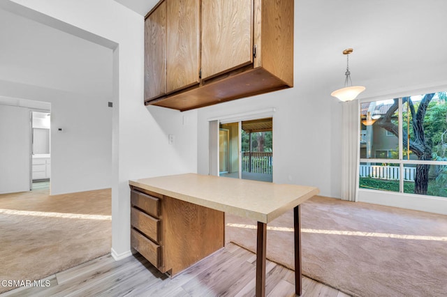 kitchen featuring light hardwood / wood-style floors and pendant lighting