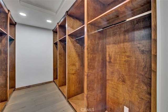 spacious closet with light hardwood / wood-style floors