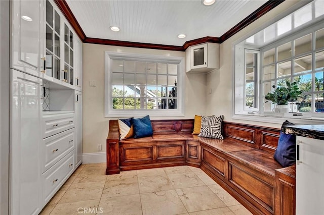 mudroom featuring a wealth of natural light and crown molding