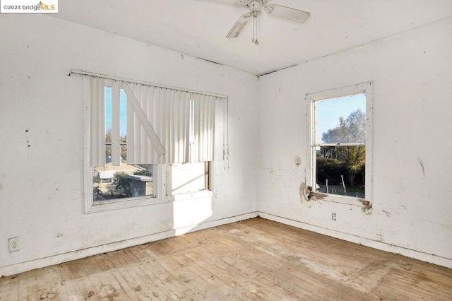 empty room featuring ceiling fan and light hardwood / wood-style floors