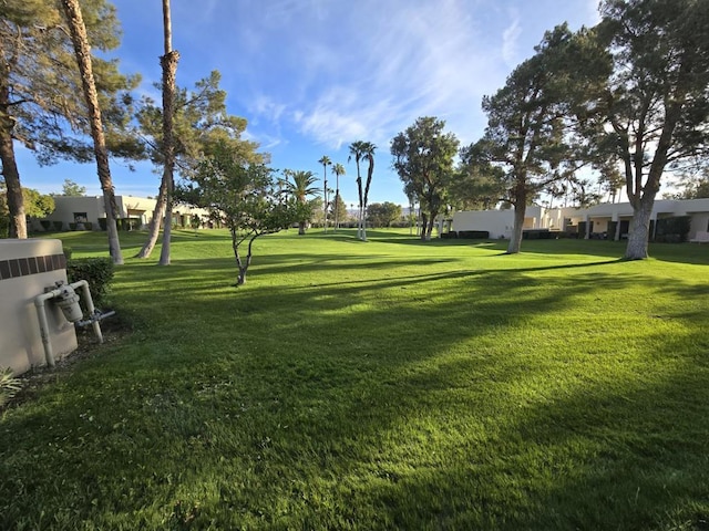 view of community featuring a lawn