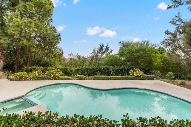 view of swimming pool featuring an in ground hot tub and a patio area