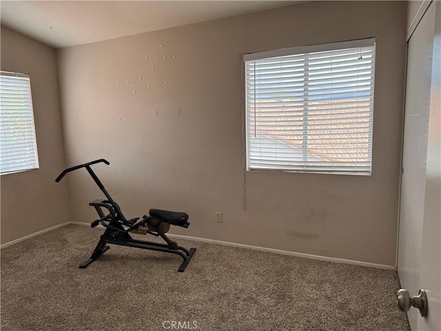 workout area with plenty of natural light and carpet flooring