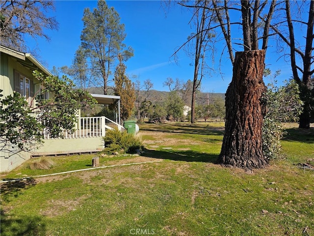 view of yard featuring a porch