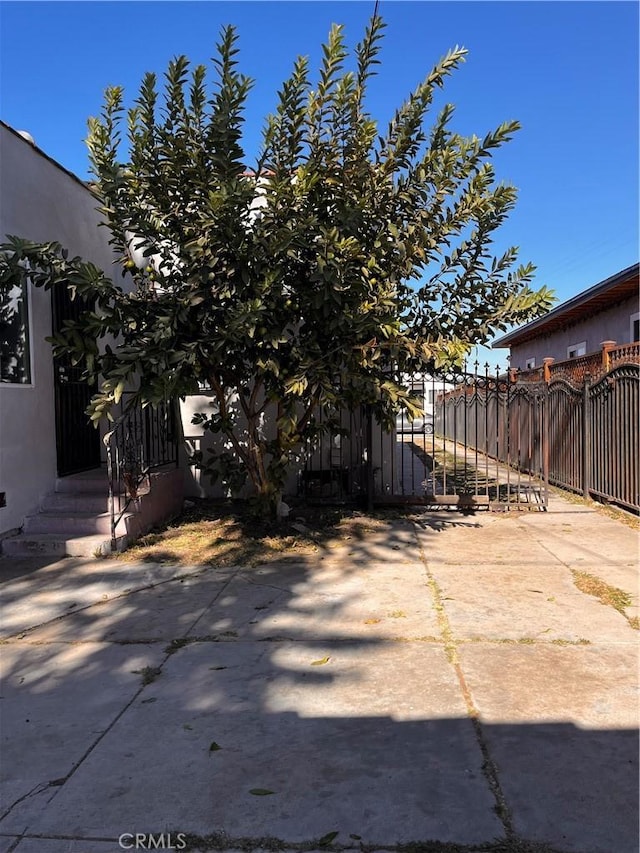 view of yard featuring a patio