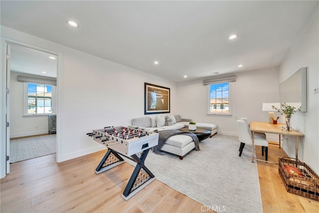 living room with light hardwood / wood-style floors and a wealth of natural light