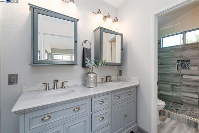 bathroom featuring vanity, a shower with shower door, and toilet