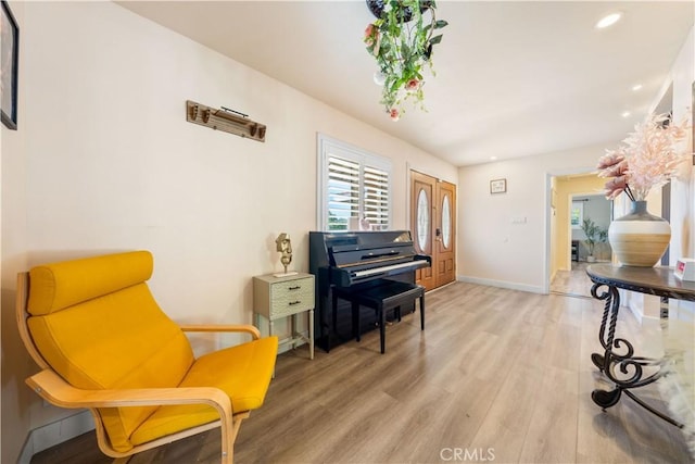 living area featuring wood-type flooring