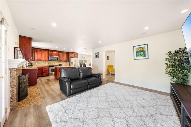 living room featuring light hardwood / wood-style floors