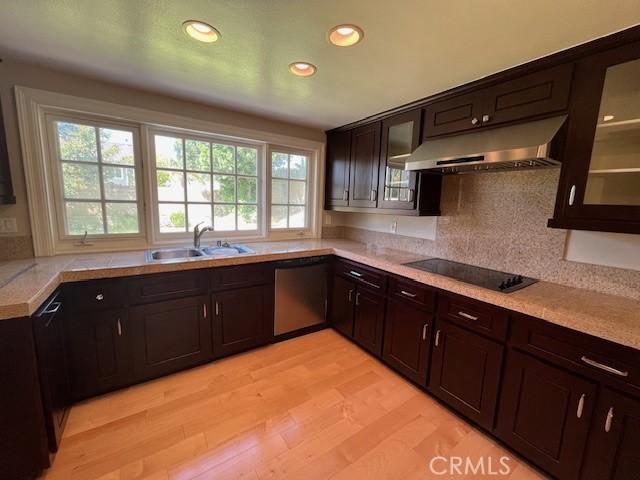 kitchen featuring dark brown cabinetry, sink, dishwasher, light hardwood / wood-style flooring, and black electric cooktop