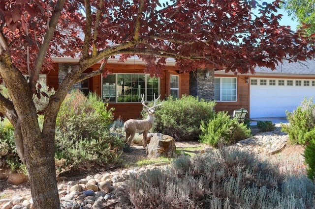 38788 Goldenrod Ln, Oakhurst, CA 93644 - photo 4