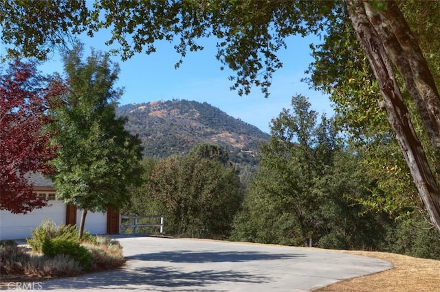 38788 Goldenrod Ln, Oakhurst, CA 93644 - photo 46