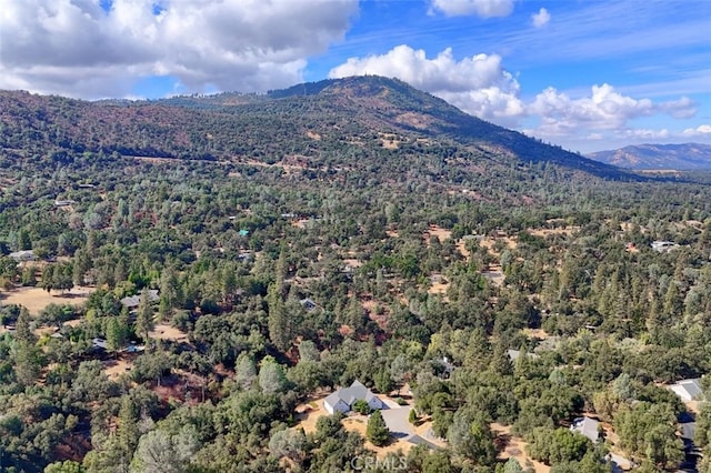 38788 Goldenrod Ln, Oakhurst, CA 93644 - photo 43