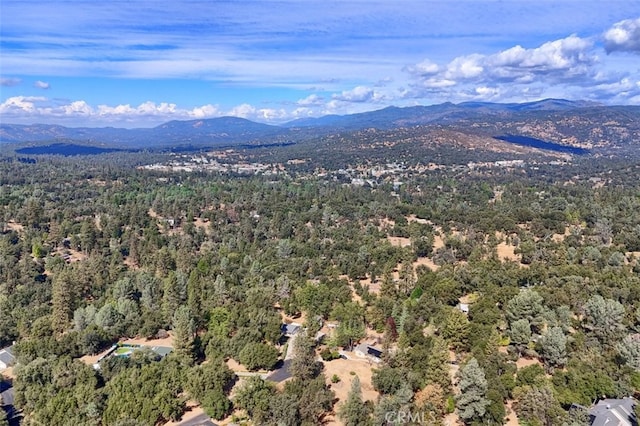 38788 Goldenrod Ln, Oakhurst, CA 93644 - photo 48