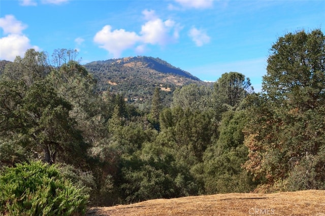 view of mountain feature