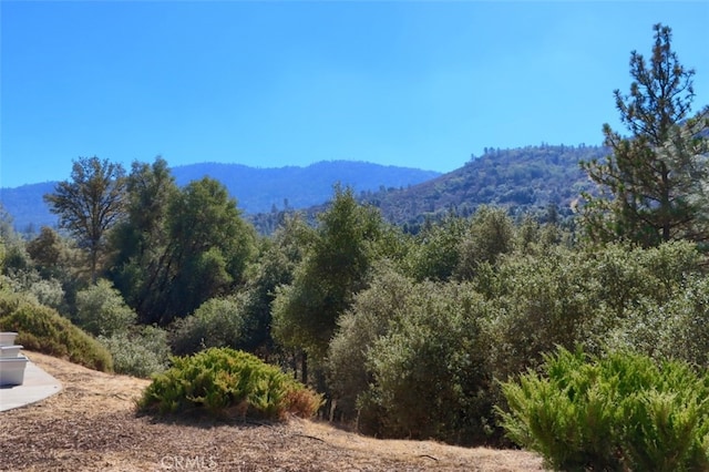 property view of mountains