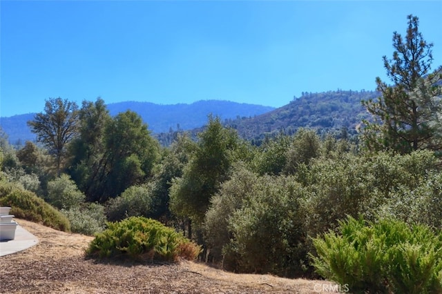 38788 Goldenrod Ln, Oakhurst, CA 93644 - photo 47