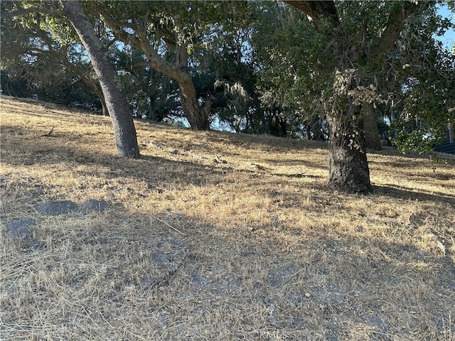 5755 Encino, Atascadero, CA 93422 - photo 3