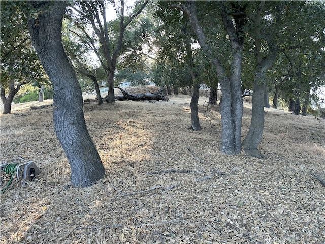 5755 Encino, Atascadero, CA 93422 - photo 5