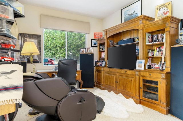 home office featuring light colored carpet