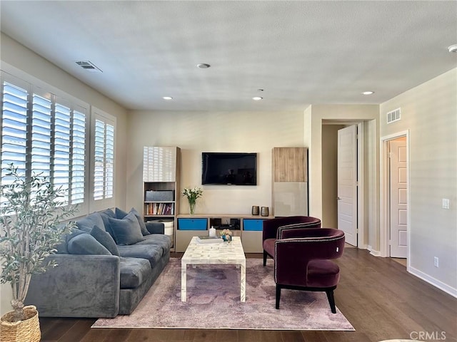 living room featuring wood-type flooring