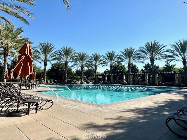 view of swimming pool with a patio area