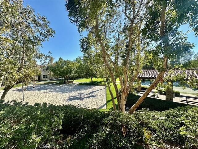 surrounding community featuring volleyball court