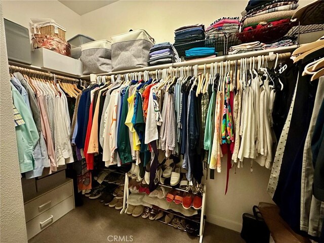 spacious closet featuring dark colored carpet