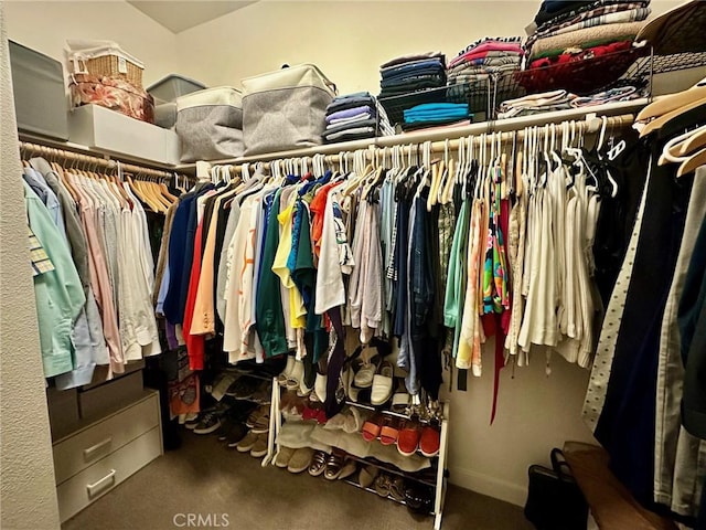 walk in closet with carpet floors