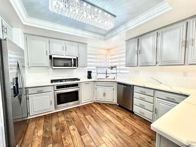 kitchen with wood-type flooring, a tray ceiling, sink, gray cabinets, and appliances with stainless steel finishes