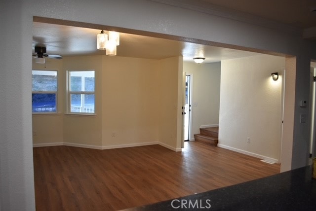 empty room with ceiling fan and dark hardwood / wood-style floors