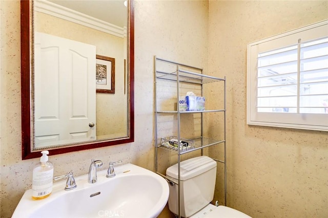 bathroom featuring crown molding, sink, and toilet