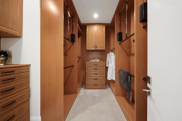 view of walk in closet